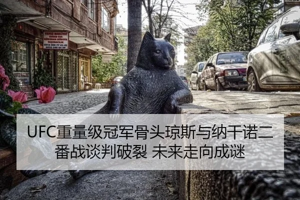 UFC重量级冠军骨头琼斯与纳干诺二番战谈判破裂 未来走向成谜
