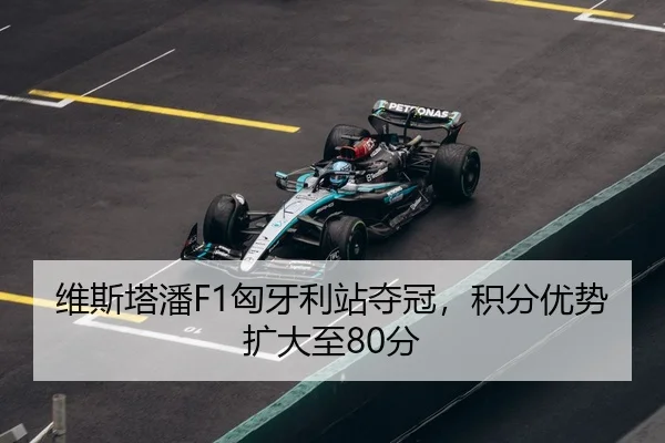 wei-si-ta-pan-xiong-ya-li-zhan-duo-guan-ji-fen-you-shi-kuo-da-zhi-fen-3-285.jpg