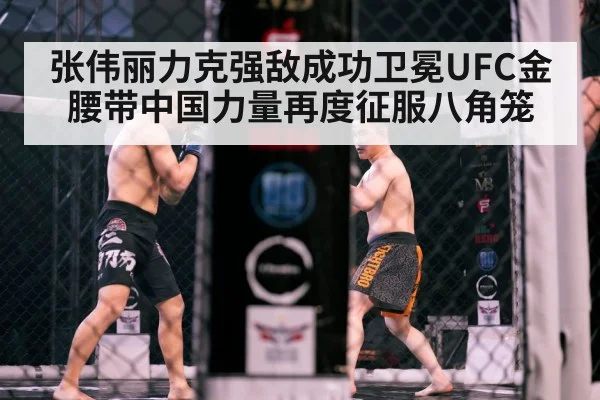 MMA fight octagon