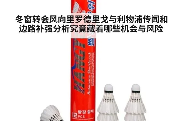 冬窗转会风向里罗德里戈与利物浦传闻和边路补强分析究竟藏着哪些机会与风险